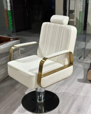 Modern Gold Hydraulic Swivel Beauty Hairdressing Chair