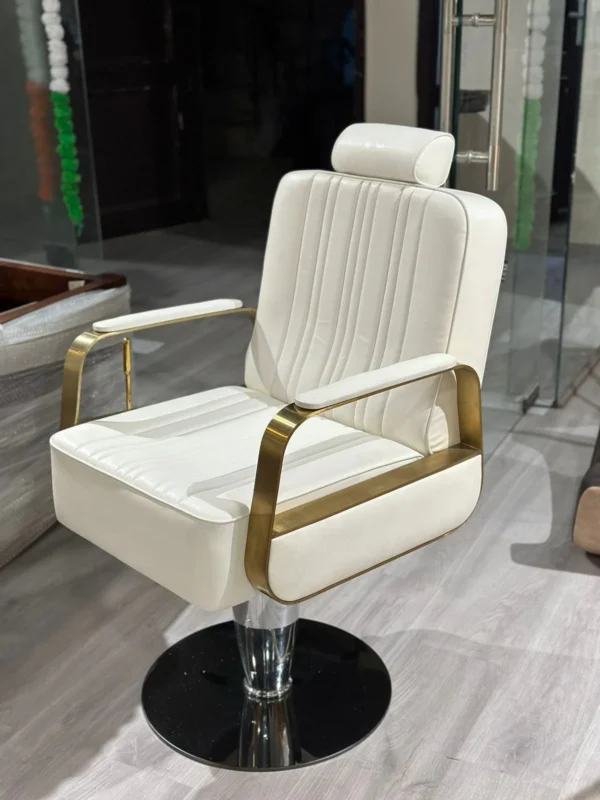 Modern Gold Hydraulic Swivel Beauty Hairdressing Chair