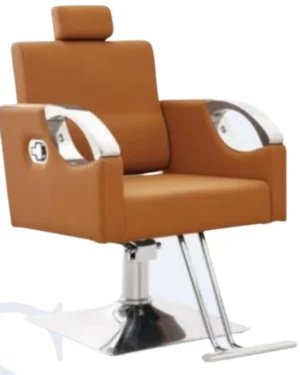 Professional Leather Beauty Salon Chair with Footrest & Recliner